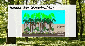 Kein Bild vorhanden!