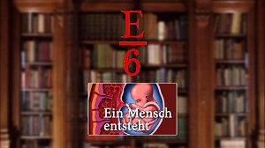 Kein Bild vorhanden!