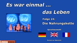 Kein Bild vorhanden!