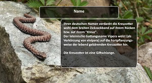 Kein Bild vorhanden!