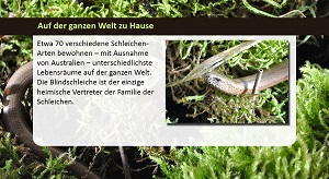 Kein Bild vorhanden!