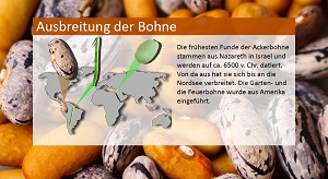 Kein Bild vorhanden!