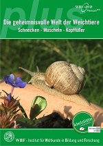 Kein Bild vorhanden!