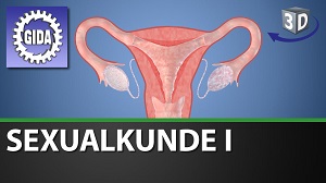 Kein Bild vorhanden!