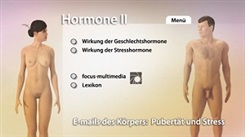 Kein Bild vorhanden!