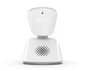 Kein Bild vorhanden!