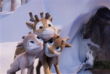 Kein Bild vorhanden!