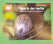 Kein Bild vorhanden!