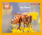 Kein Bild vorhanden!