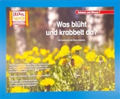 Kein Bild vorhanden!
