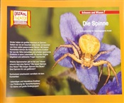 Kein Bild vorhanden!