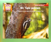 Kein Bild vorhanden!