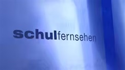 Schulfernsehen